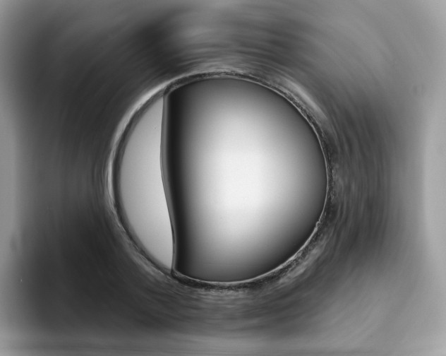 X0000094940788200711291020