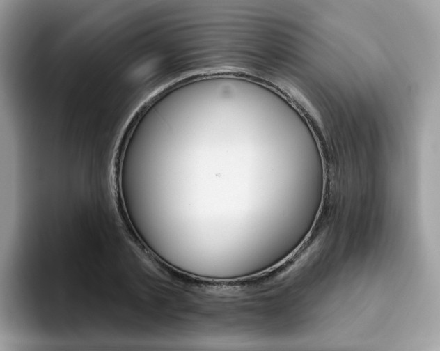 X0000094940789200711291020