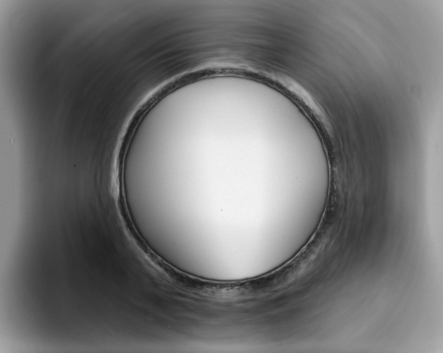 X0000094940791200711291020