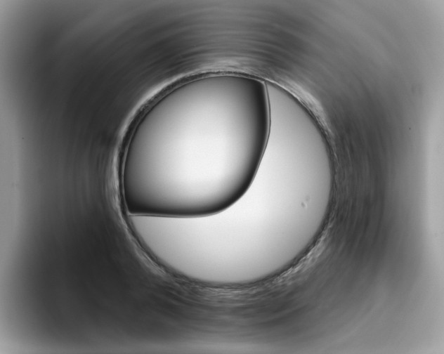X0000094940792200711291020