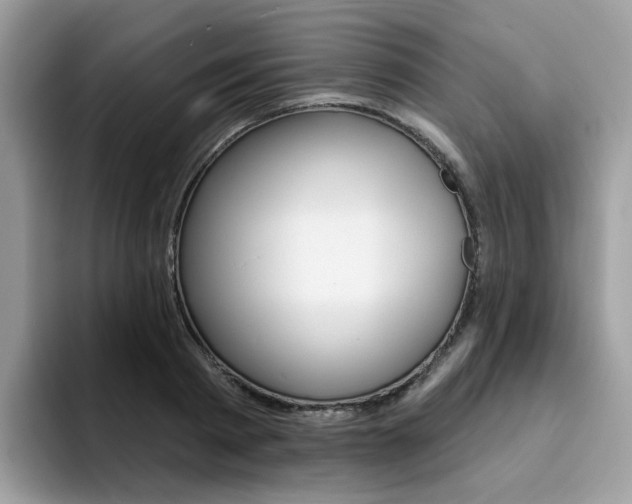 X0000094940793200711291020