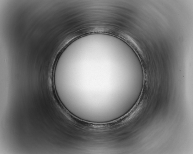 X0000094940794200711291020
