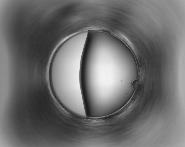 X0000094940795200711291020