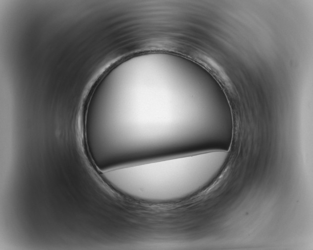 X0000094940796200711291020