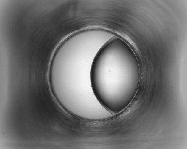 X0000094940799200711291020