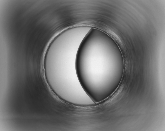 X0000094940800200711291020