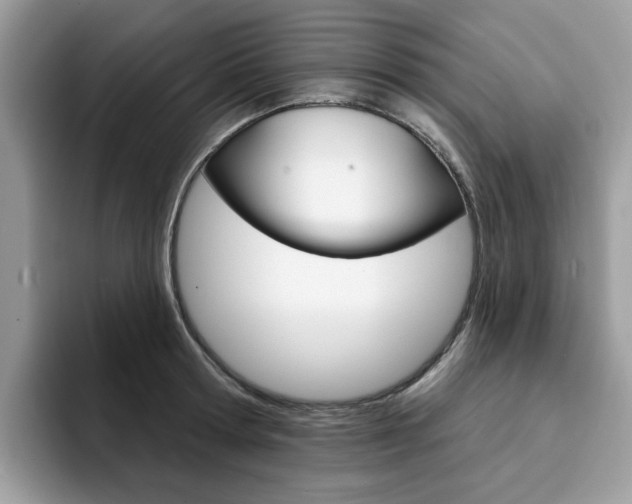 X0000094940802200711291020