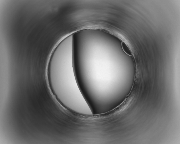 X0000094940803200711291020