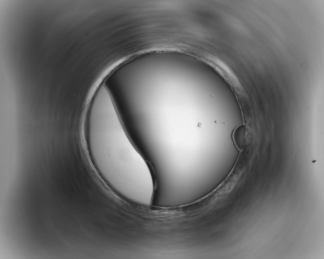 X0000094940804200711291020