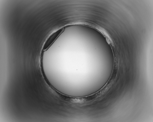 X0000094940805200711291020