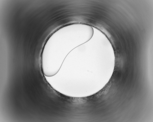 X0000094940807200711291020