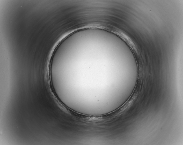 X0000094940808200711291020