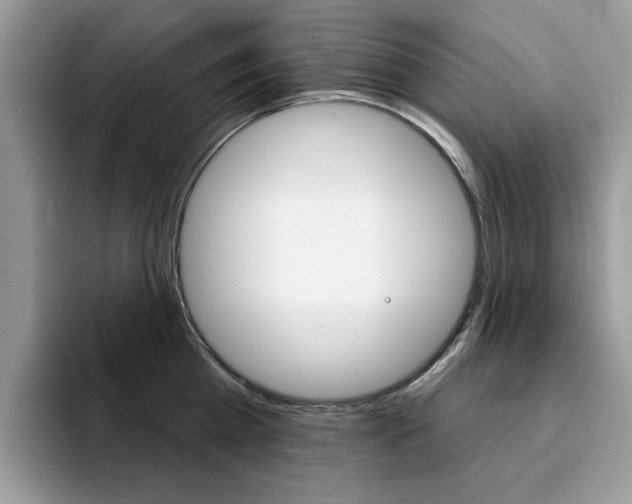 X0000094940809200711291020