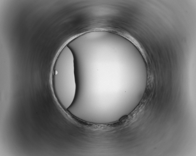 X0000094940811200711291020