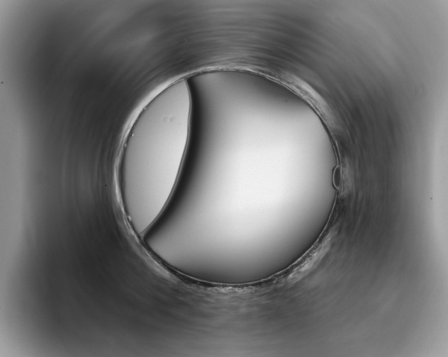X0000094940812200711291020