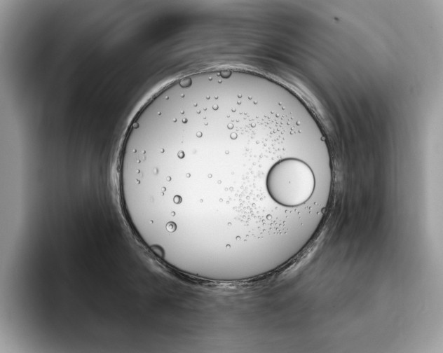 X0000094940814200711291020