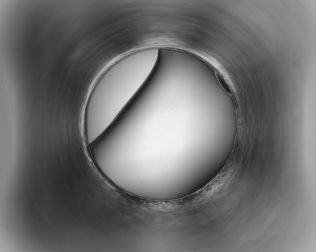 X0000094940815200711291020