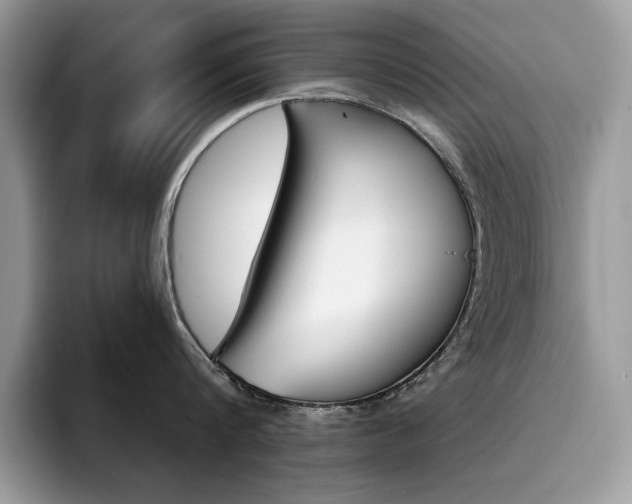 X0000094940816200711291020