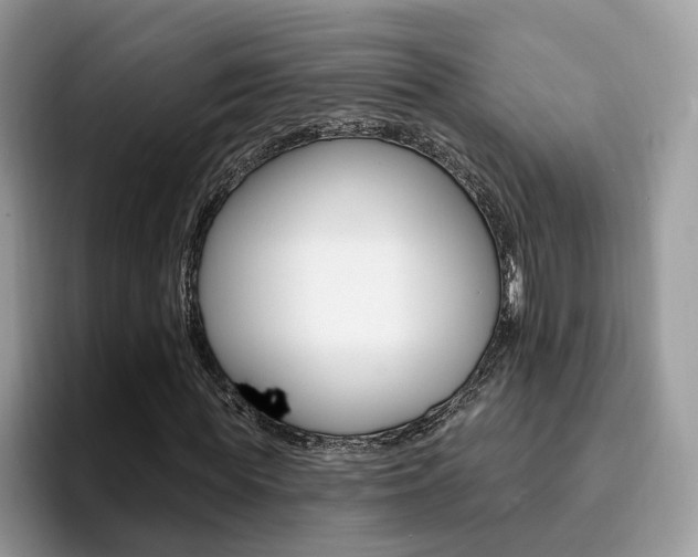 X0000094940819200711291019