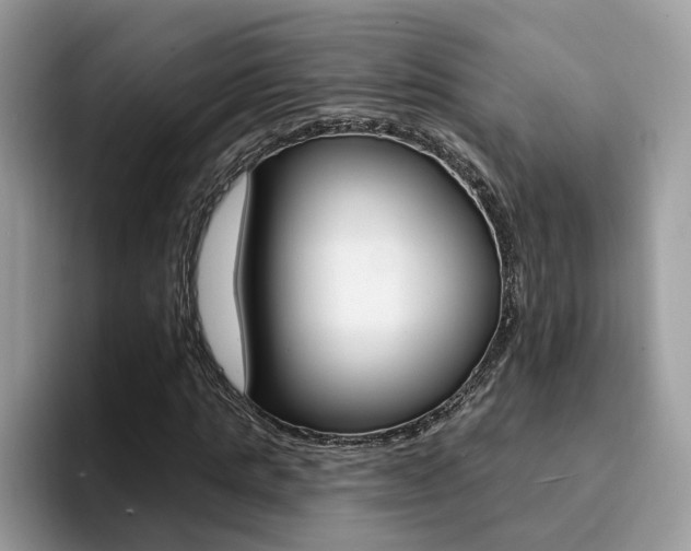X0000094940821200711291019