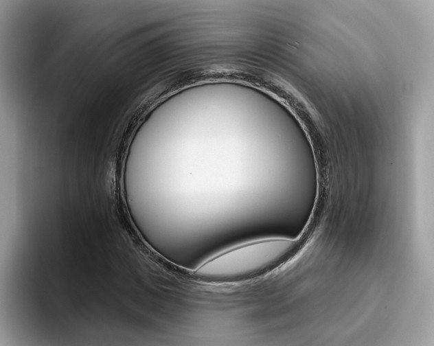 X0000094940825200711291019