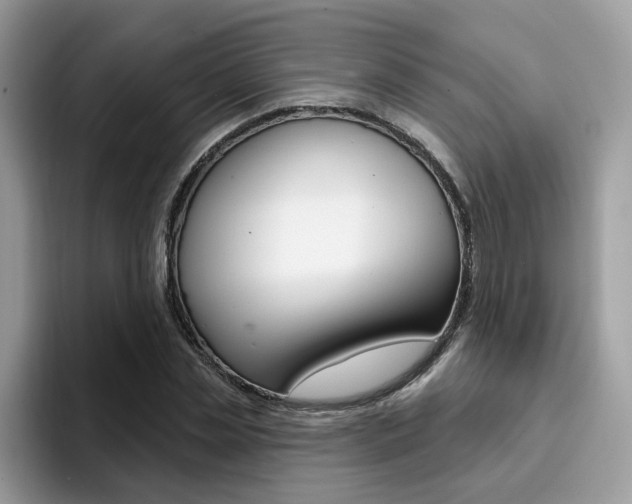 X0000094940829200711291019