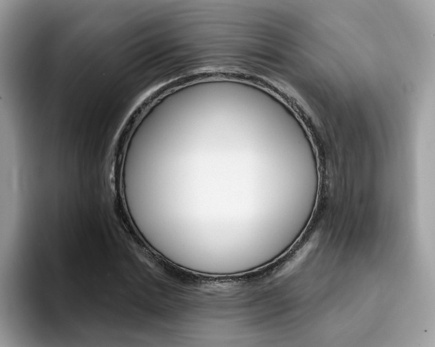 X0000094940830200711291019