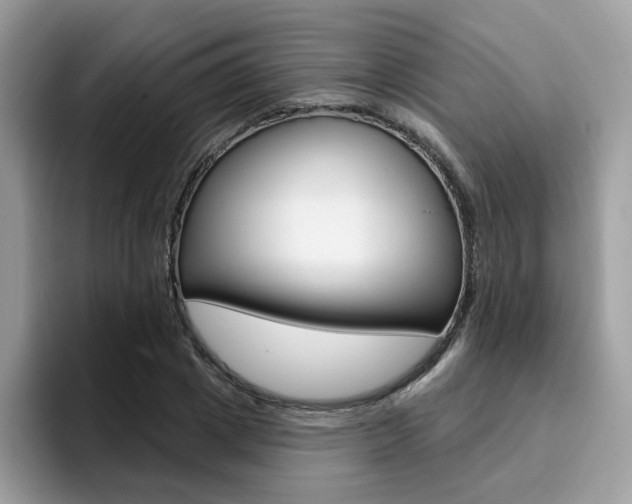 X0000094940833200711291019