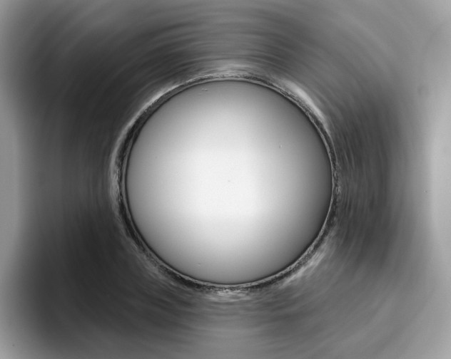 X0000094940835200711291019