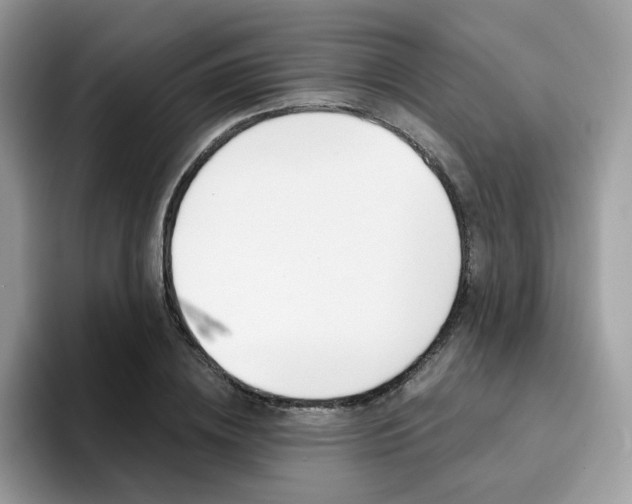 X0000094940836200711291019