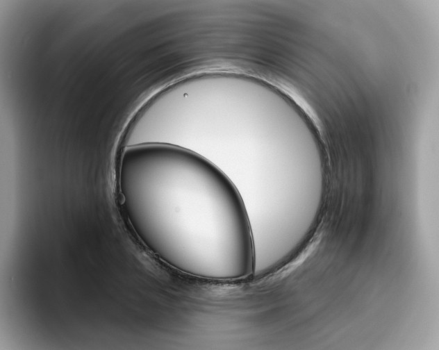 X0000094940837200711291019