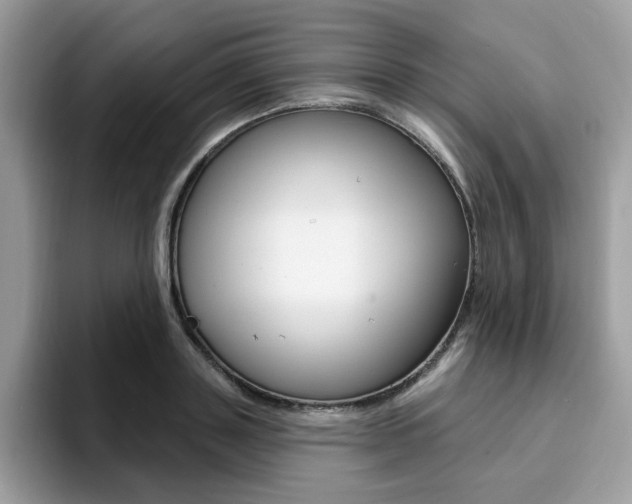 X0000094940843200711291019
