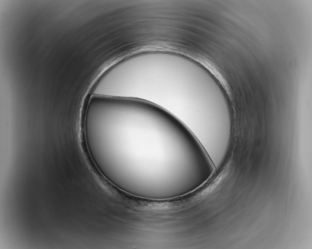 X0000094940845200711291019