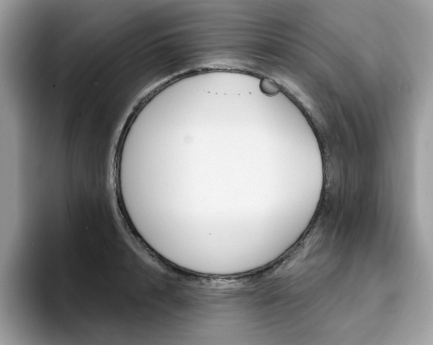 X0000094940848200711291019