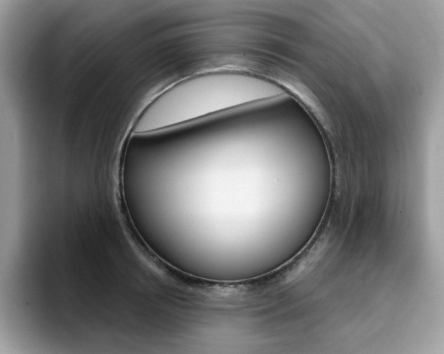 X0000094940850200711291019