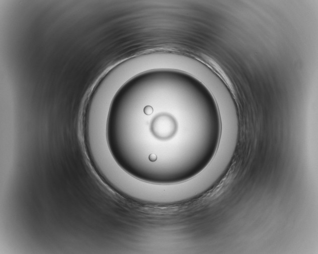 X0000094940851200711291019