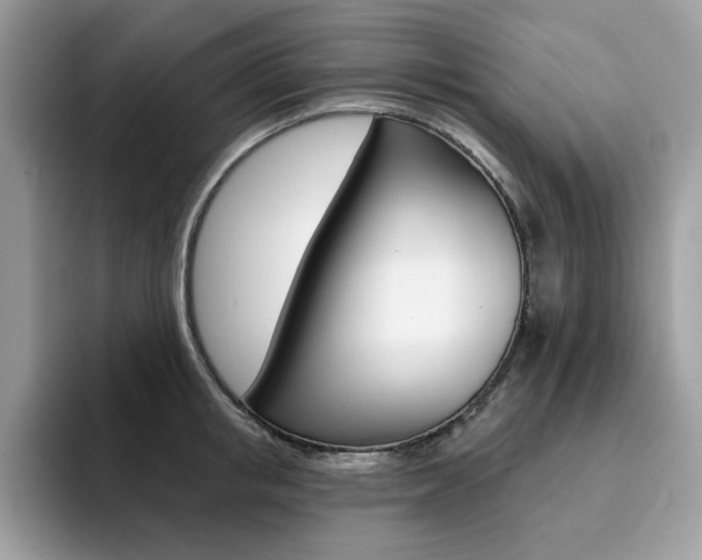 X0000094940853200711291020
