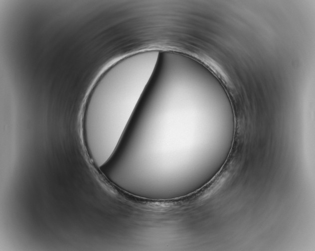 X0000094940854200711291020