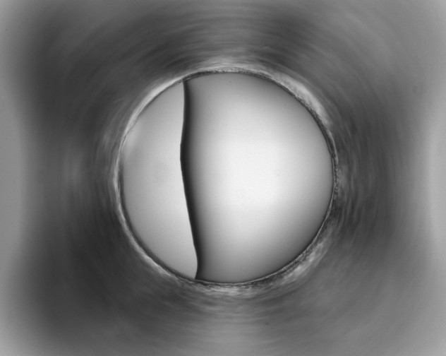 X0000094940855200711291020