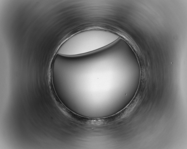 X0000094940858200711291020