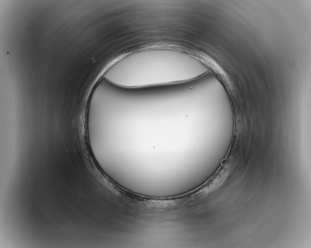 X0000094940860200711291020