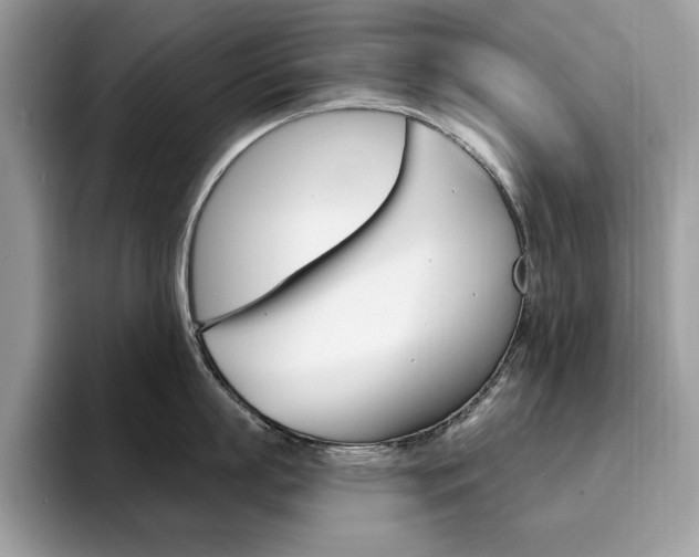 X0000094940863200711291020