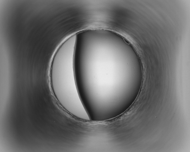 X0000094940864200711291020