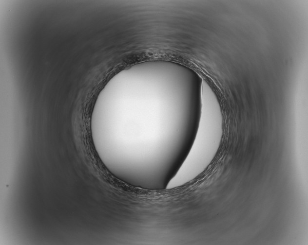 X0000094940865200711291019