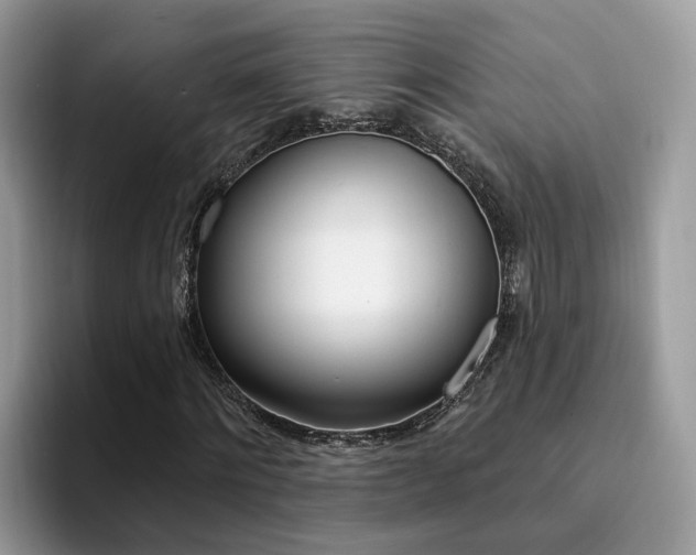 X0000094940868200711291019