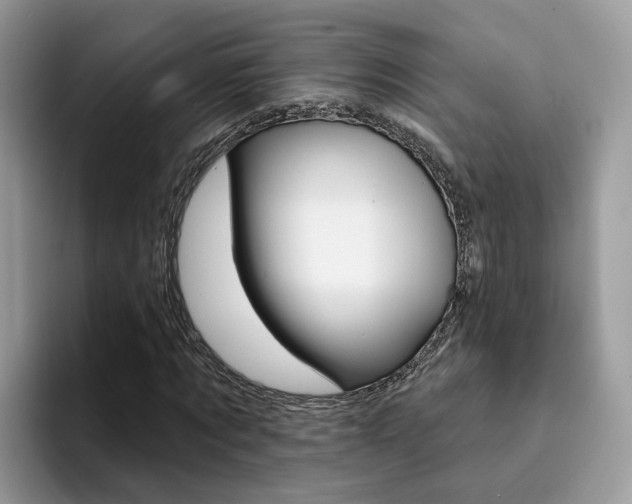 X0000094940869200711291019