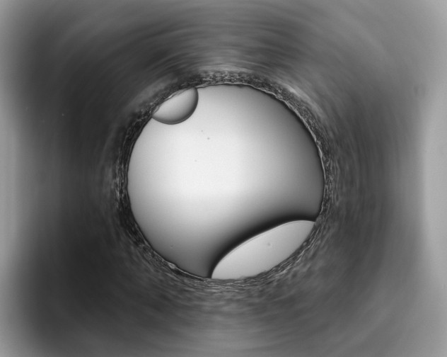 X0000094940870200711291019