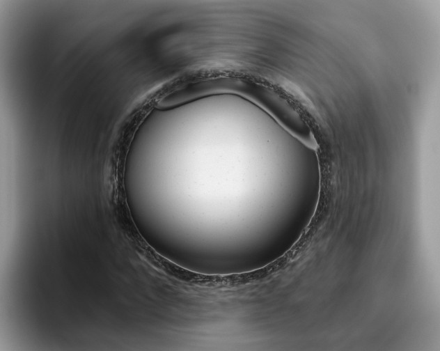 X0000094940872200711291019