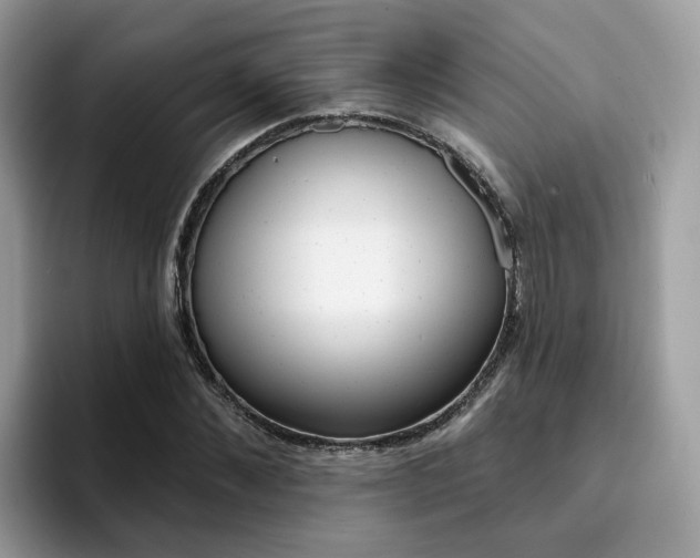 X0000094940876200711291019
