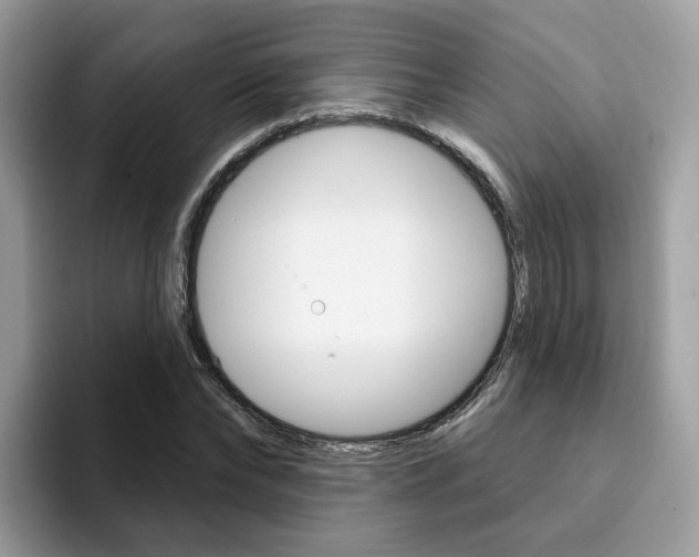 X0000094940878200711291019